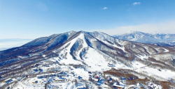 �����������ʐ^